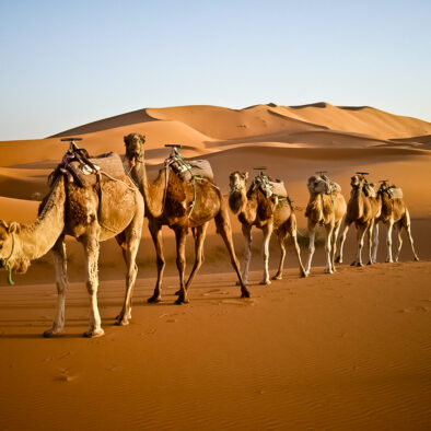 3-day Marrakech to Fes Desert Tour