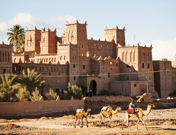 Morocconomadgictourscontact