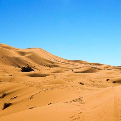 morocconomadgictours