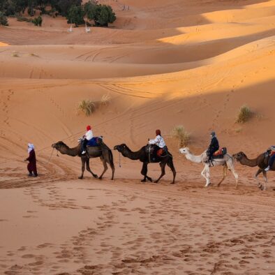 3-day Fes to Marrakesh Desert Tour