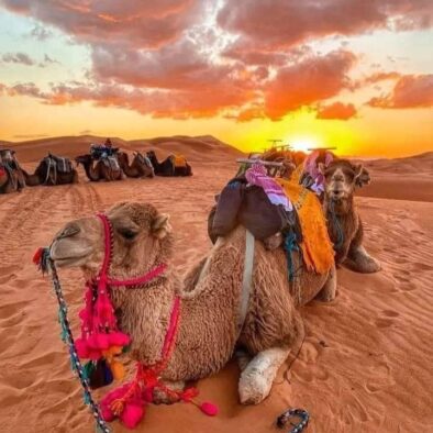 Things To Do In Marrakech(JPG)